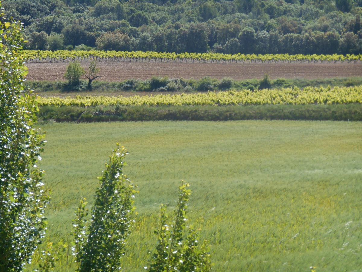 La Feniere Bed and Breakfast Vénéjan Εξωτερικό φωτογραφία